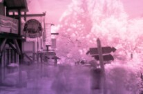 Experimental Photography: Infrared Photography